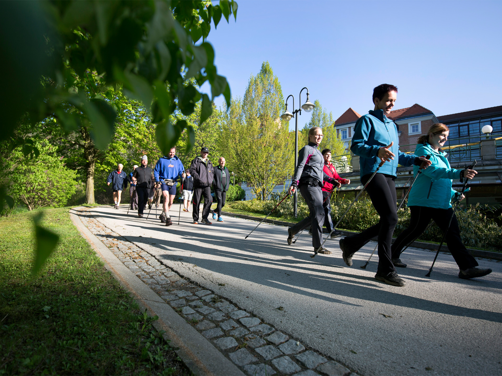 Gruppe Menschen beim Nordic Walking